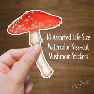 Red Spotted Watercolor Mushrooms