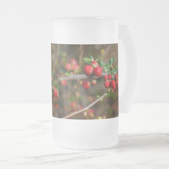 Red Spring Buds Frosted Glass Beer Mug (Front Right)