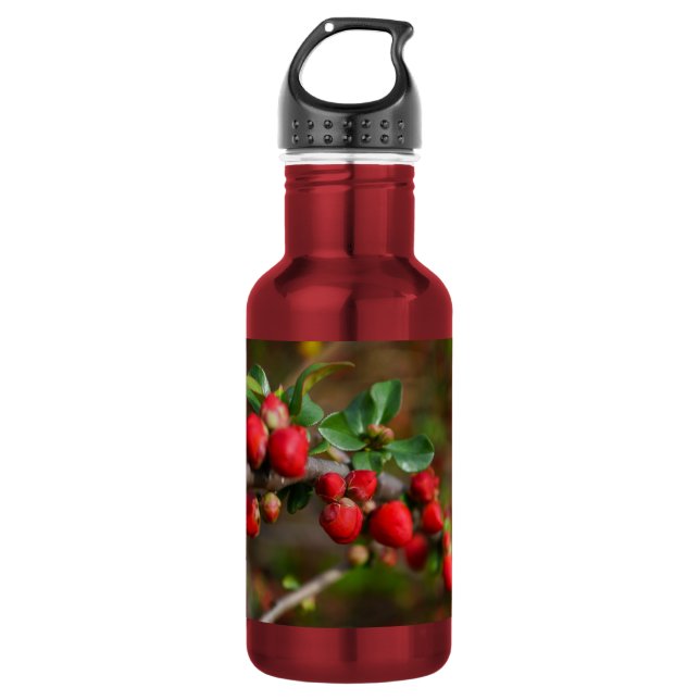 Red Spring Buds Stainless Steel Water Bottle (Front)