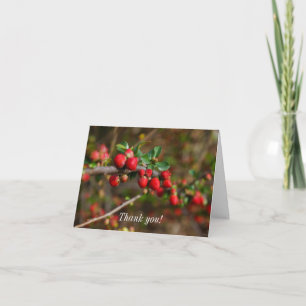 Red Spring Buds Thank You Card