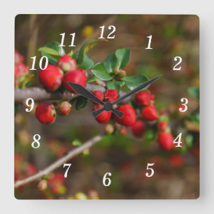 Red Spring Buds Wall Clock