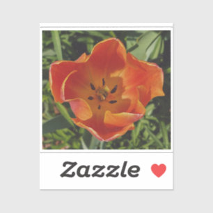 red spring flower