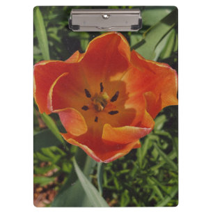 red spring flower clipboard