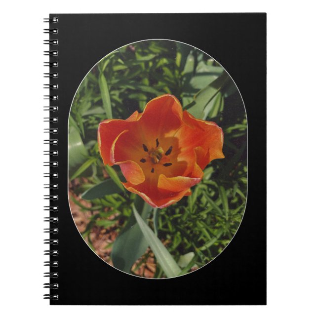 red spring flower  notebook (Front)
