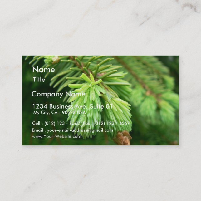 Red Spruce Sprouts Business Card (Front)