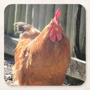 Red   square paper coaster