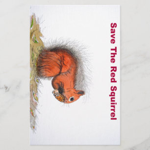 Red Squirrel