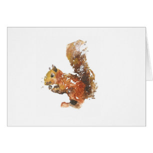 Red squirrel