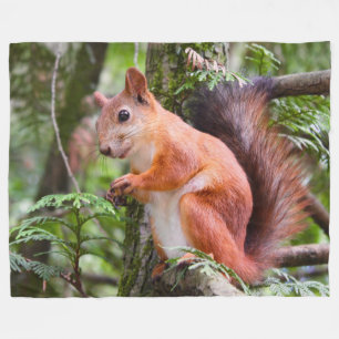 RED SQUIRREL 2 FLEECE BLANKET