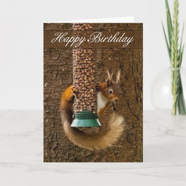 Red Squirrel Birthday Card (Front)