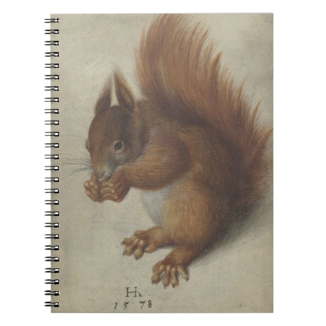 Red Squirrel (by Hans Hoffmann) Notebook (Front)