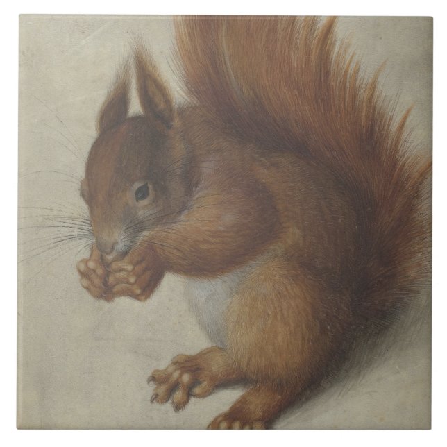 Red Squirrel (by Hans Hoffmann) Tile (Front)
