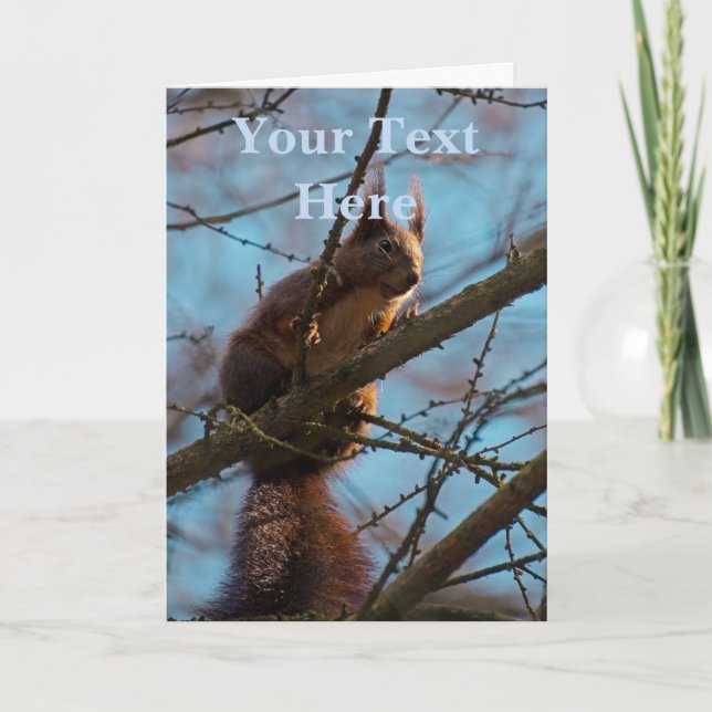 Red Squirrel  Card (Front)