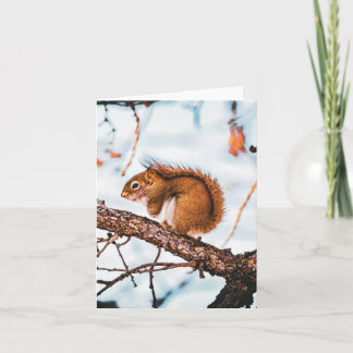 Red Squirrel Card