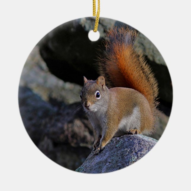 Red squirrel ceramic tree decoration (Front)