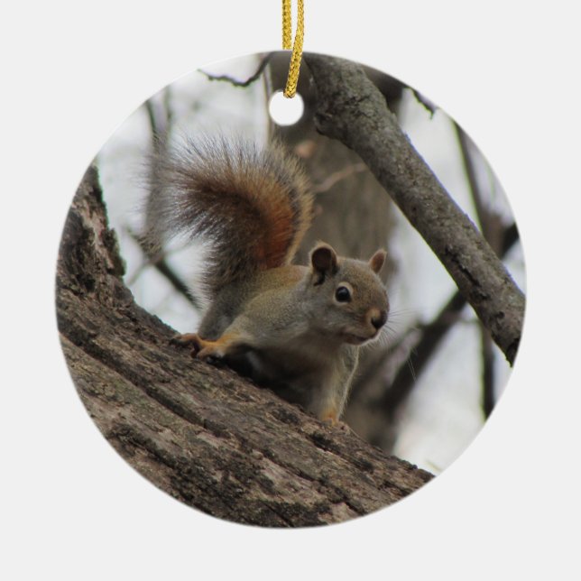 Red Squirrel Ceramic Tree Decoration (Front)