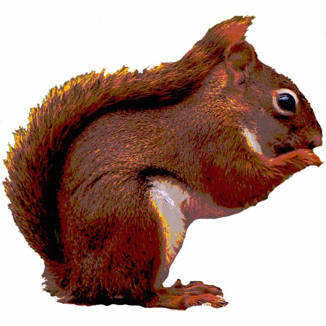 Red Squirrel Christmas Hanging Acrylic Photo Sculpture Decoration (Front)