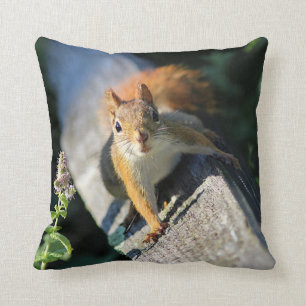 Red squirrel cushion