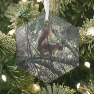 Red Squirrel Glass Hexagon Ornament
