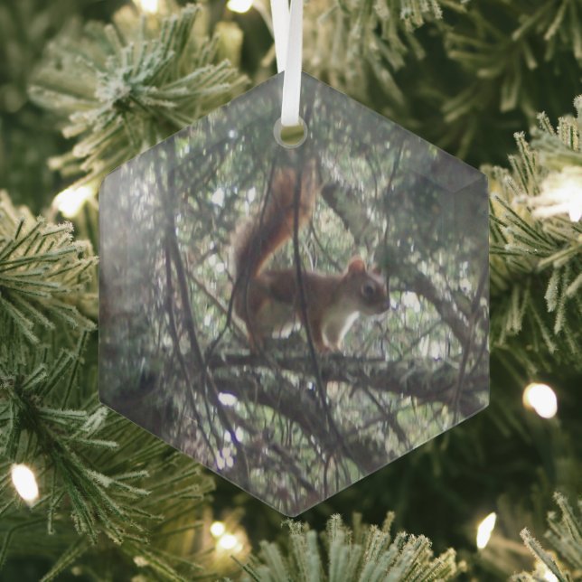Red Squirrel Glass Hexagon Ornament (Insitu)