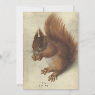 Red Squirrel   Hans Hoffmann