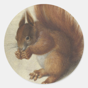 Red Squirrel   Hans Hoffmann Classic Round Sticker