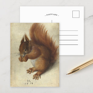 Red Squirrel   Hans Hoffmann Postcard