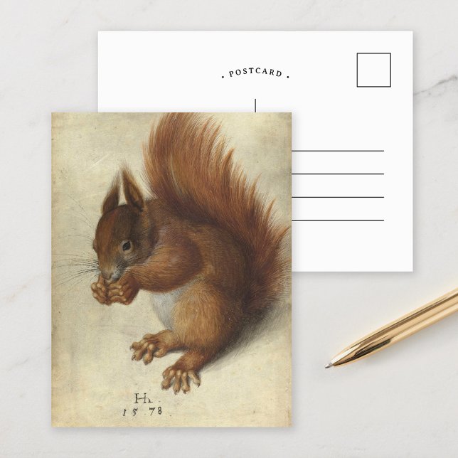 Red Squirrel | Hans Hoffmann Postcard (Creator Uploaded)
