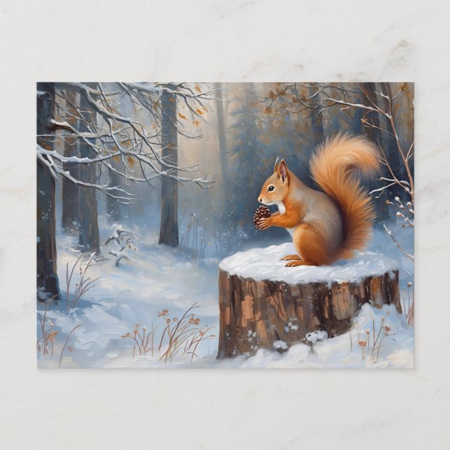 Red Squirrel in the Winter Snow Forest  Postcard (Front)