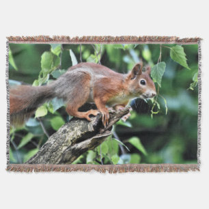 Red Squirrel in Tree Throw Blanket