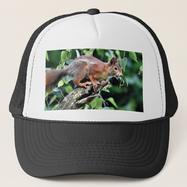 Red Squirrel in Tree Trucker Hat (Front)