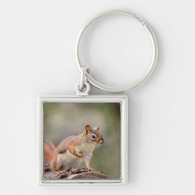Red Squirrel Key Ring (Front)