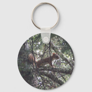 Red Squirrel Keychain #1