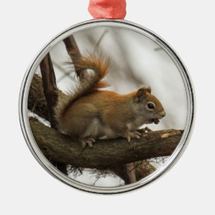 Red Squirrel Metal Tree Decoration