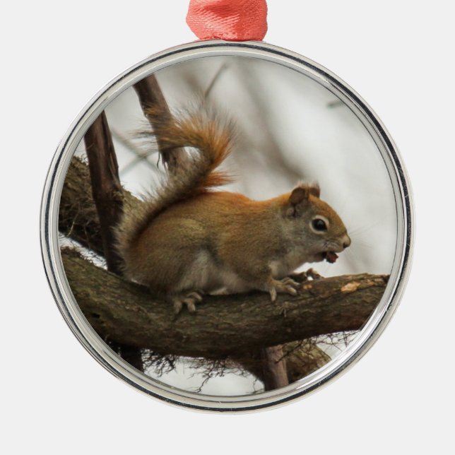 Red Squirrel Metal Tree Decoration (Front)