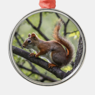 Red Squirrel Metal Tree Decoration