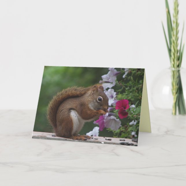 Red Squirrel Mother's Day Card (Front)