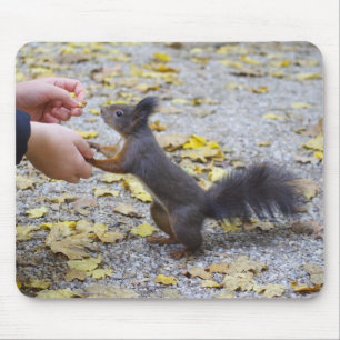 Red Squirrel Mouse Mat