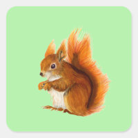 Red Squirrel Painted in Watercolor Wildlife Art