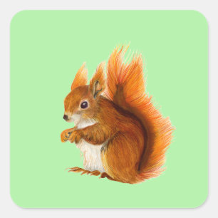 Red Squirrel Painted in Watercolor Wildlife Art Square Sticker