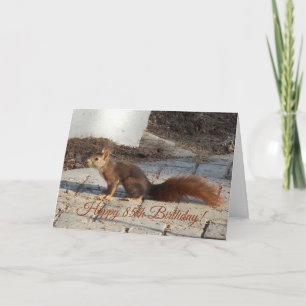 Red Squirrel Personalised 85th Birthday Card