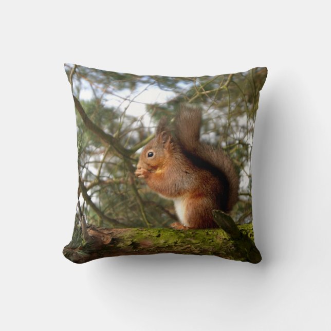 Red Squirrel Pillow/Cushion Cushion (Front)