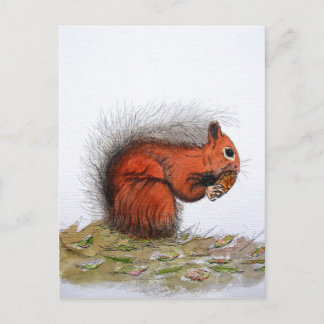 Red Squirrel pine cone Postcard