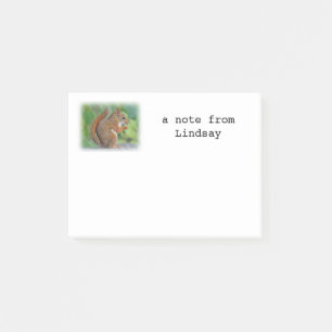 Red squirrel post-it notes