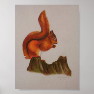 Red Squirrel Print
