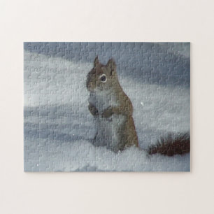 Red Squirrel Puzzle