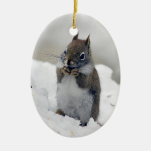 Red Squirrel's Blue Winter Ceramic Tree Decoration