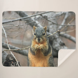 RED SQUIRRL SHERPA BLANKET