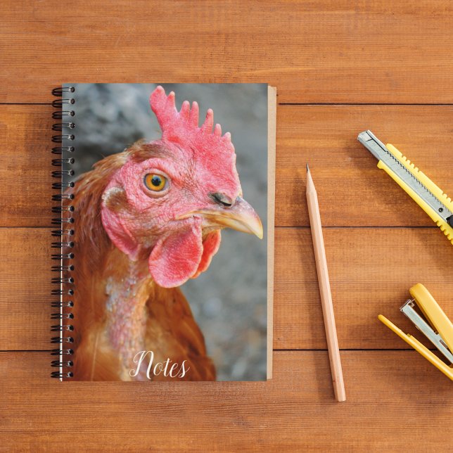 Red Star Chicken Hen Photo Notebook (In Situ)