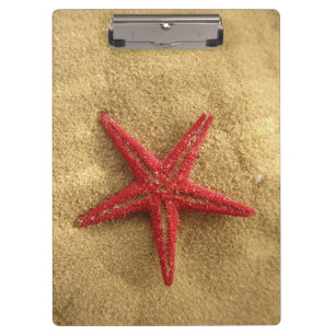 red starfish clipboard